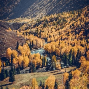 一到秋天 新疆就美成了童话