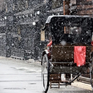 大雪过后的北京 你一定要去看看